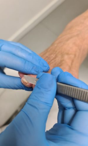 6f920ffa-5c15-4f29-82d3-67e4b63fb43c